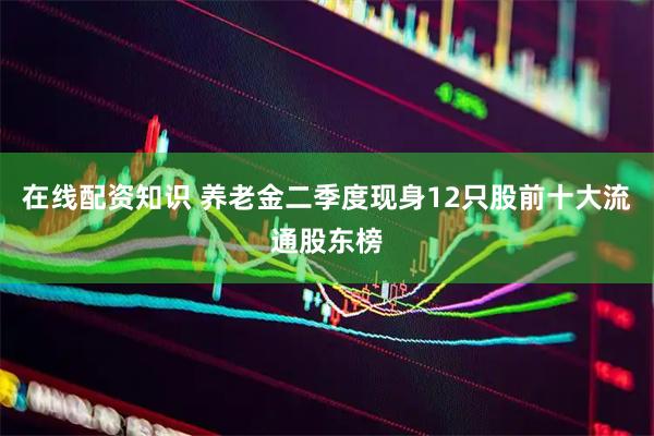 在线配资知识 养老金二季度现身12只股前十大流通股东榜