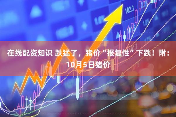 在线配资知识 跌猛了，猪价“报复性”下跌！附：10月5日猪价