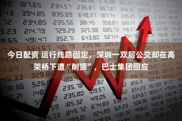 今日配资 运行线路固定，深圳一双层公交却在高架桥下遭“削顶”，巴士集团回应