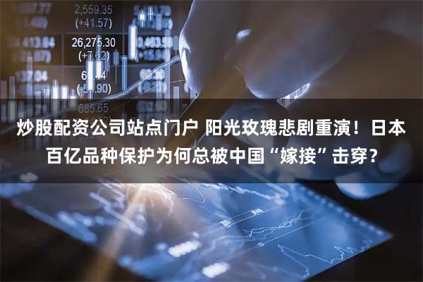 炒股配资公司站点门户 阳光玫瑰悲剧重演！日本百亿品种保护为何总被中国“嫁接”击穿？