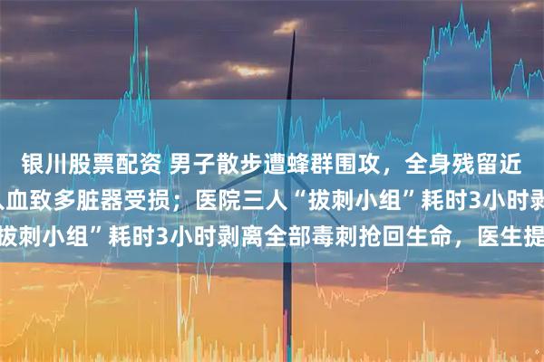 银川股票配资 男子散步遭蜂群围攻，全身残留近千根毒刺，大量蜂毒入血致多脏器受损；医院三人“拔刺小组”耗时3小时剥离全部毒刺抢回生命，医生提醒